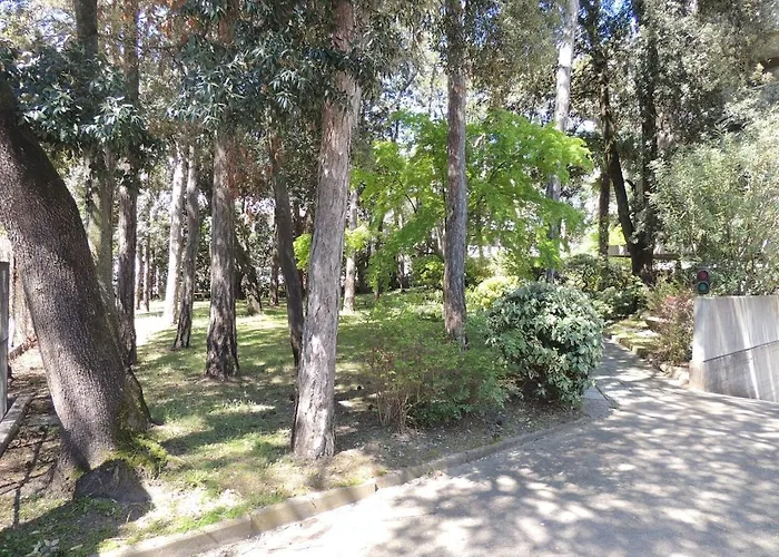 Nettuno Apartment *